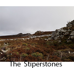 Stiperstones 1